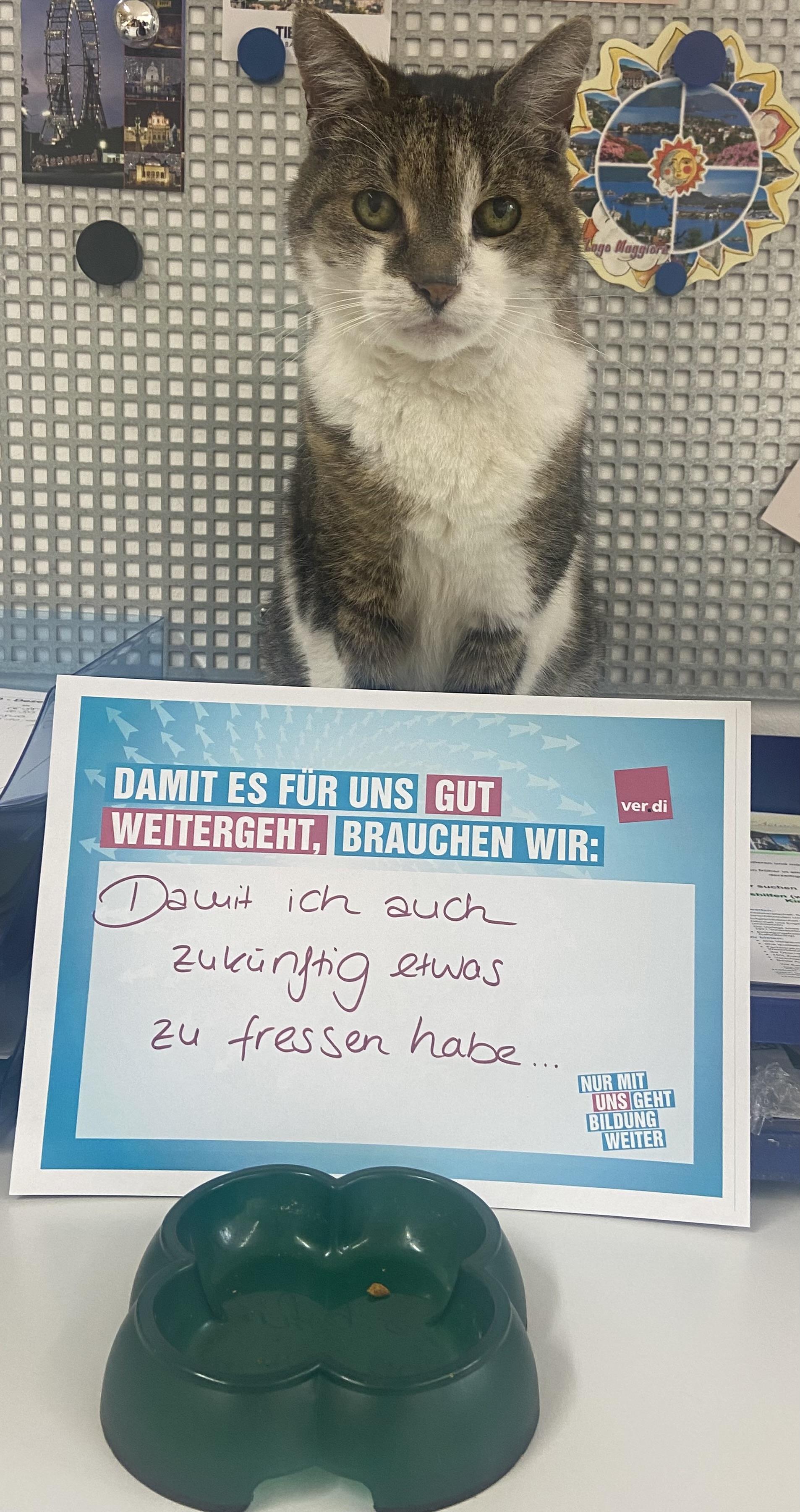 Stuttgart